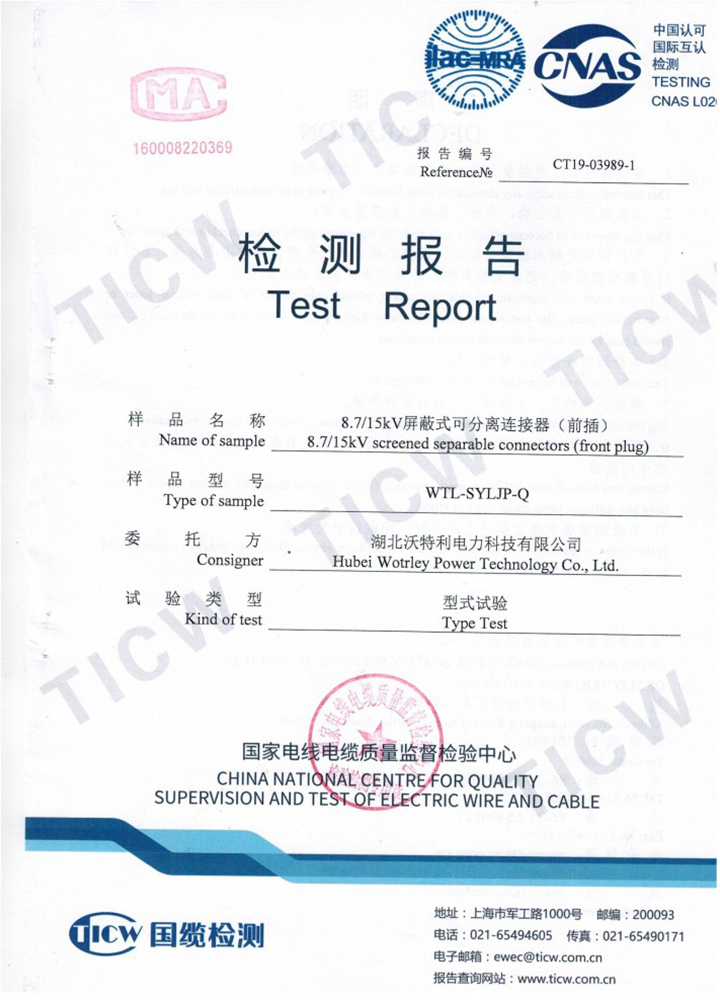 前插頭檢驗報告